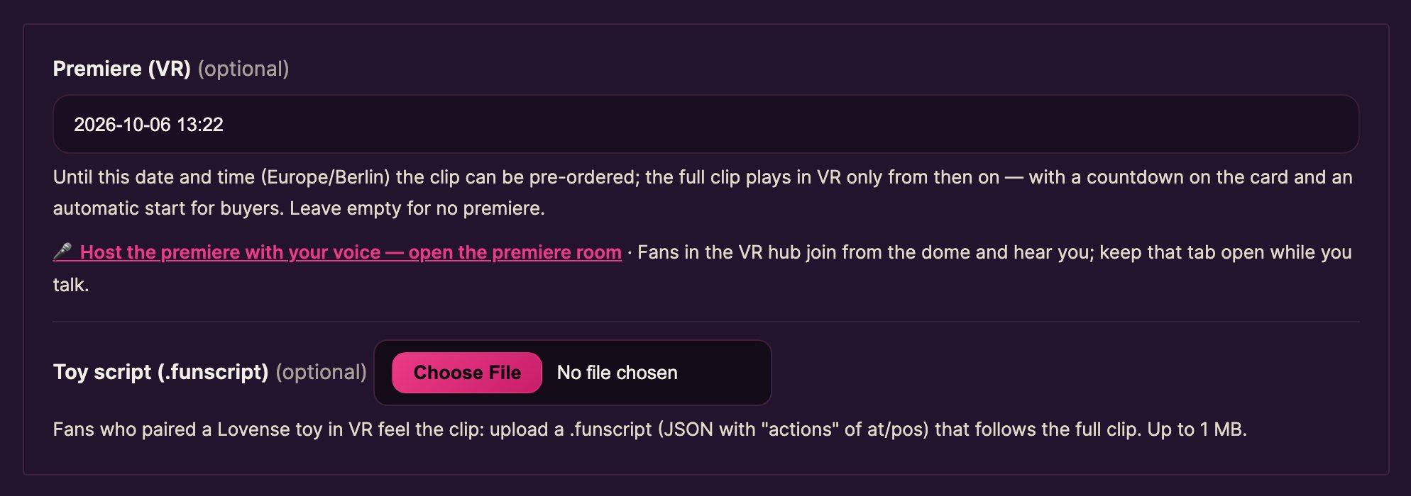 The clip form: Premiere (VR) and the toy script field.