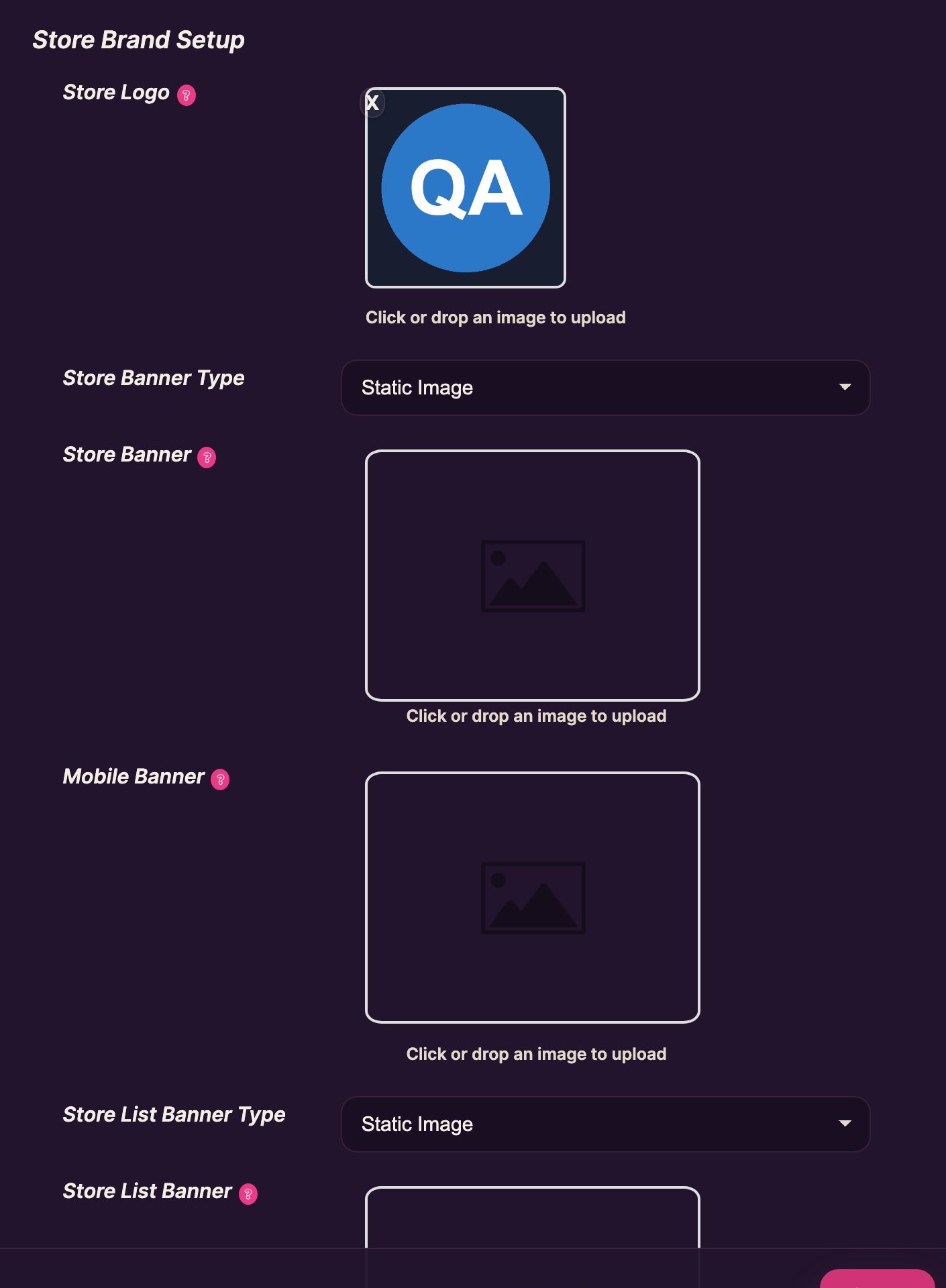 Settings, Store Brand Setup, with the VR180 broadcast field at the bottom.
